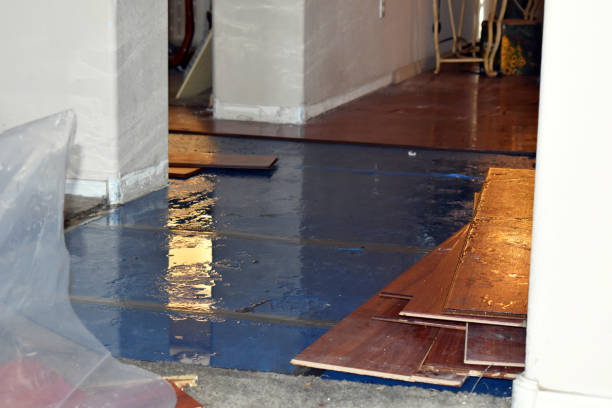 Professional Basement Flood Cleanup technician working in Lemoyne, PA